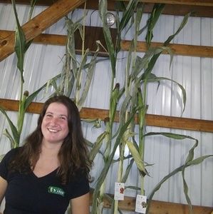 Meet your Posher, Rachel